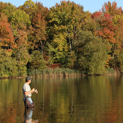 Man fishing in a pond