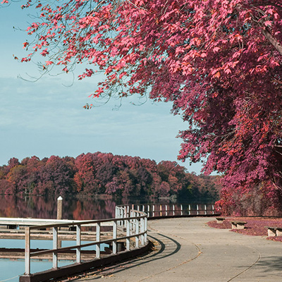 Landscape with Infrared Edit